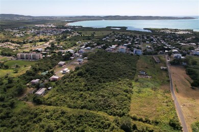 SR-307 KM 7.6 Pedernales Ward Lot 2 unit (D), Cabo Rojo, PR 00623 - photo 2