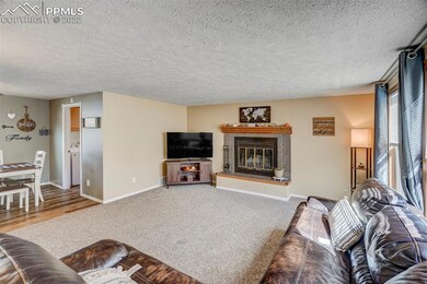 Wood burning fireplace