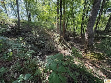 0 Pickett Mell Rd, Columbia, KY 42728 - photo 6