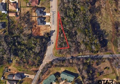 3250 Old Noonday Rd, Tyler, TX 75701 - photo 3