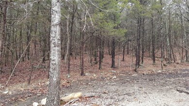 0 Willoughby Lot B Rd unit 1011775, Fayetteville, AR 72701 - photo 5