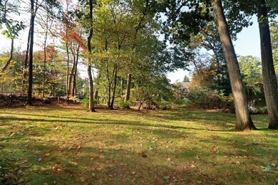 203 Country Way, Needham, MA 02492 - photo 5