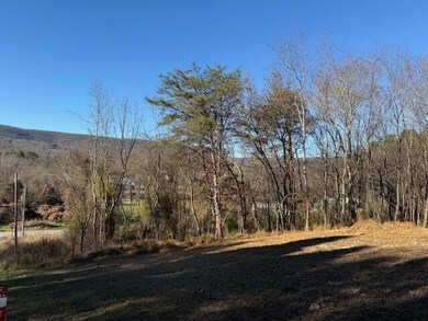 22 Moon Cir, Spring City, TN 37381 - photo 4