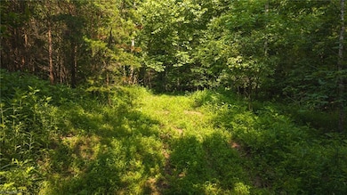 000 Old Vashti Rd unit 2, Taylorsville, NC 28681 - photo 6