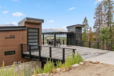 2520 Boreas Pass Rd, Breckenridge, CO 80424 - photo 4