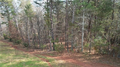 0000 Blackburn Tract 3a Rd, Dawsonville, GA 30534 - photo 2