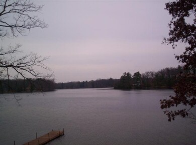 2485 W Lake Shore Dr, Bitely, MI 49309 - photo 3