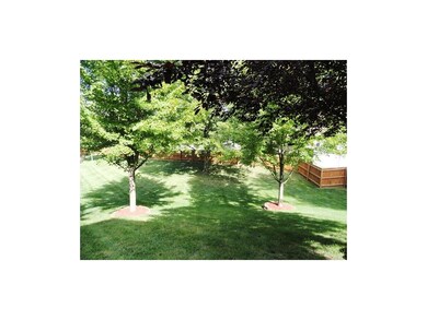Backyard from the deck