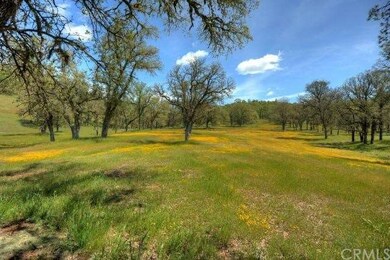 Lot 2's meadow.