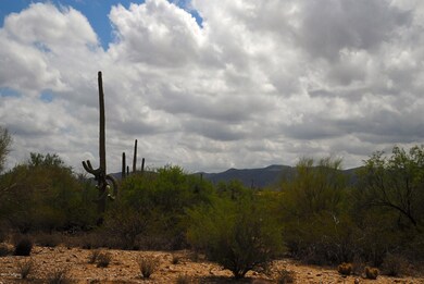 XXX Gas Line Rd unit 5AC, Marana, AZ 85658 - photo 2