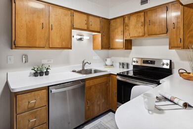 1101 Grove St unit 8C, Evanston, IL 60201 - photo 5