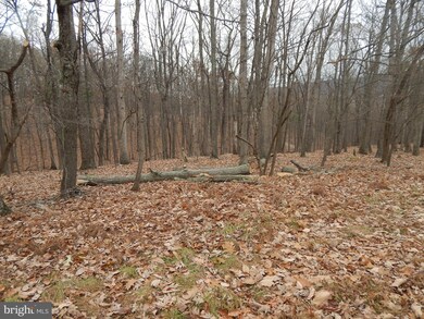 0 Pioneer Trail unit WVMO116368, Great Cacapon, WV 25422 - photo 6