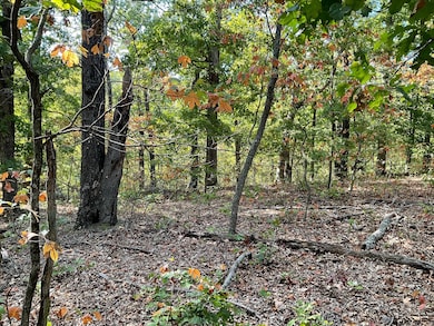 0 Hickory Springs Rd, Hindsville, AR 72738 - photo 7