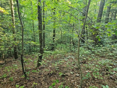 0 Bates Dr unit 418359, Ellijay, GA 30540 - photo 4