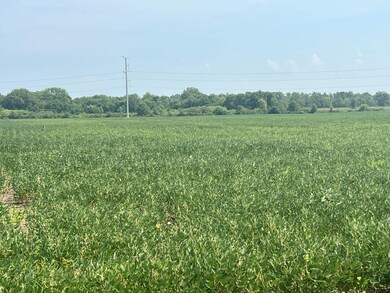 00 Sandy Bend Rd, Frederick, IL 62639 - photo 5