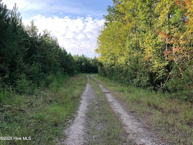 0 Plantation Rd, Trenton, NC 28585 - photo 5