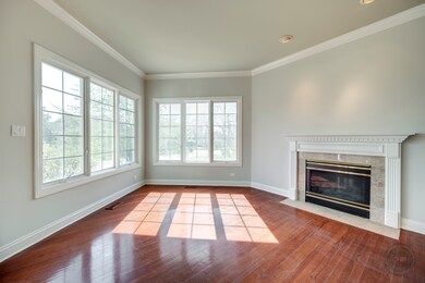 8S320 Hampton Cir unit 2, Naperville, IL 60540 - photo 6