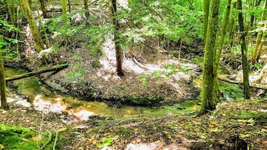 8.5 ACRES, 3rd St, Onekama, MI 49675 - photo 3