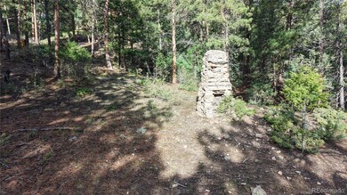 33476 La Plata Ln, Pine Junction Area, CO 80470 - photo 6