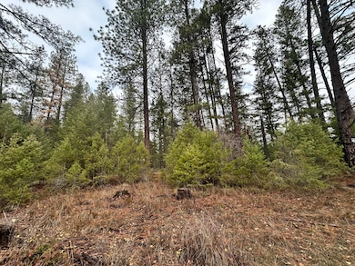 1496 E Hwy 20 #R, Colville, WA 99114 - photo 3