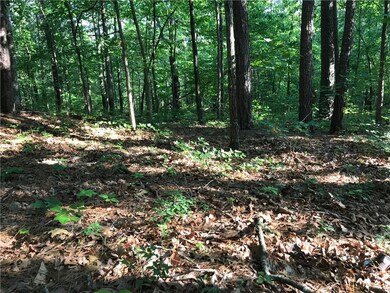 0 Burghley Ln unit 1115798, Bella Vista, AR 72714 - photo 4