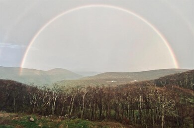 1459 Ledges Condos, Wintergreen Resort, VA 22967 - photo 4