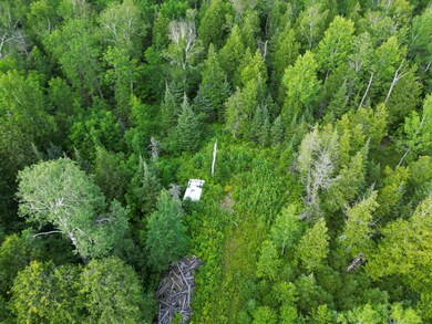 9195 Samuelson Rd, Angora, MN 55703 - photo 6