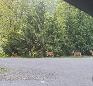 14608 228th Ave E, Orting, WA 98360 - photo 6