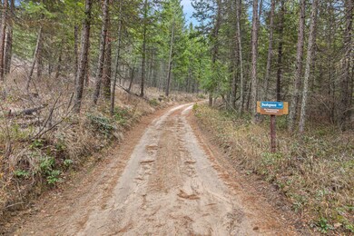 3XXX Rockcut Rd, Kettle Falls, WA 99141 - photo 5