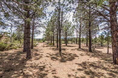 Gist Rd 66966 (11 of 20)