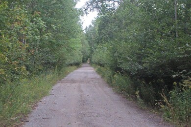 Drive into property