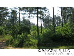 Flat Woods along paved road