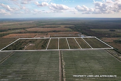 21999 Carter Rd, Estero, FL 33928 - photo 5