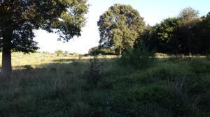 0 Karen St, Harrison, AR 72601 - photo 4