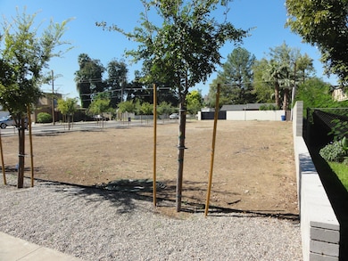 Maple Lot 044