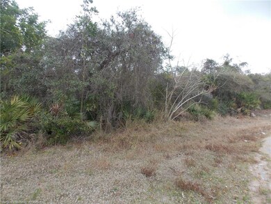 117 Dorchester Rd, Lake Placid, FL 33852 - photo 2