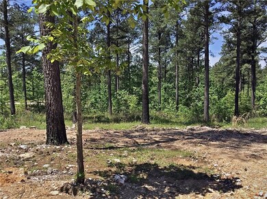 489 Eagle Mountain Trail E, Broken Bow, OK 74728 - photo 7