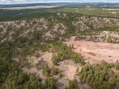 TBD Gravel Pit Loop unit Off of Hwy 89 South, Hot Springs, SD 57747 - photo 4