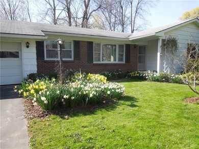 Enjoy the abundance of daffodils every spring