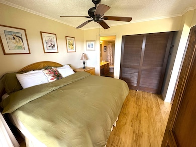 50 Kepuhi Place unit 110, Maunaloa, HI 96770 - photo 7