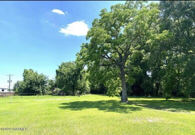 W Willow grounds