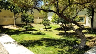 Community Area