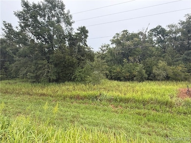 8935 S Pleasant Grove Rd, Inverness, FL 34452 - photo 3