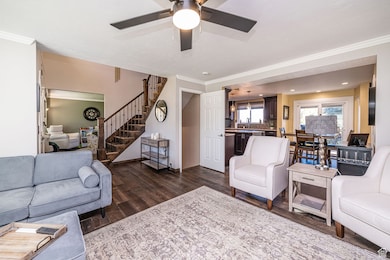 Living area featuring crown molding, dark wood-style flooring, stairway, and ceiling fan