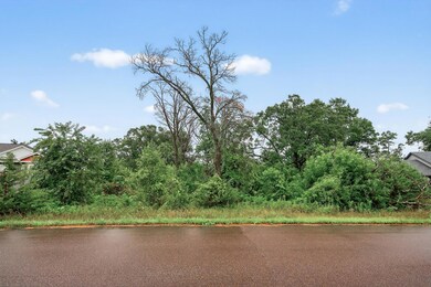 TBD 143rd St NW, Zimmerman, MN 55398 - photo 4