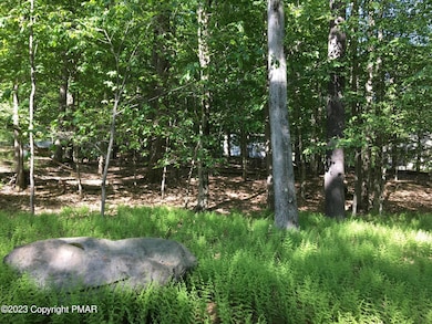 615 Locust Ln, Pocono Lake, PA 18347 - photo 2