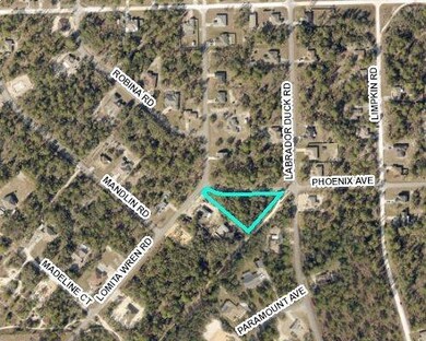 Pheasant Ave 4