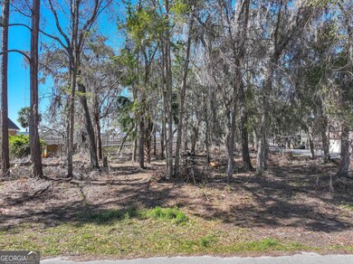 0 Riverview Dr W unit 10523000, St. Marys, GA 31558 - photo 4