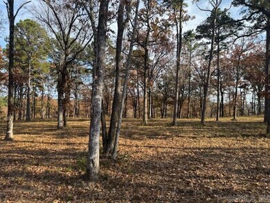 unlisted-address, Conway, AR 72034 - photo 3