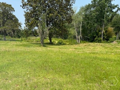 0 Us Hwy 17 unit 327199, Townsend, GA 31331 - photo 2